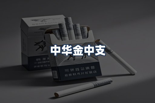 中华金中支